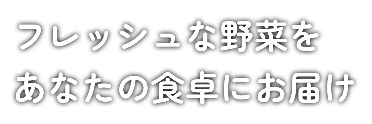 フレッシュな野菜をあなたの食卓にお届け